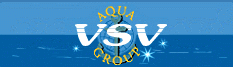 VSV-Group